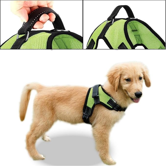No Pull Reflective Adjustable Dog Harness with Handle- Comfortable Soft All Weather Mesh, Easy On Puppy Harness for Small Medium and Large Dogs (Green) Large