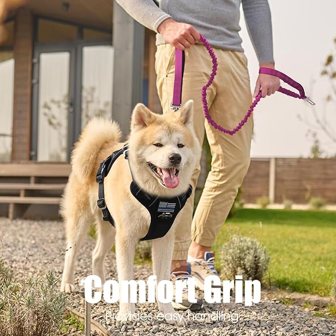 BUMBIN 6Ft Dog Leash Large Dogs, Bungee Dog Leash with 2 Handles, Heavy Duty Leashes for Medium Small Dogs, No Pull Shock Absorbing，with Car Seat Belt for Training, Pink