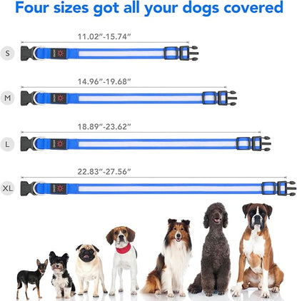 Vizpet LED Dog Collar, Light Up Dog Collar Adjustable USB Rechargeable Super Bright Safety Light Glowing Collars for Dogs(Small,Blue)