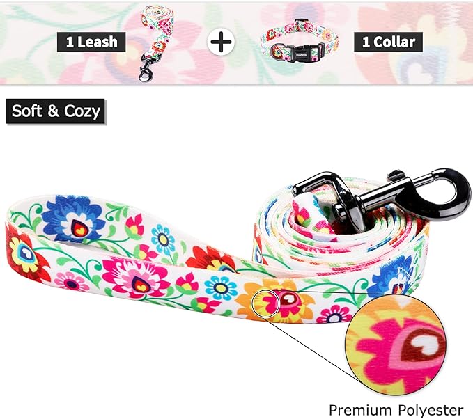 Ihoming Dog Collar and Leash Set for Daily Outdoor Walking Running Training, White Colorful Flowers Design for Small Boys Girls Dogs Cats Pets, S-Up to 20LBS