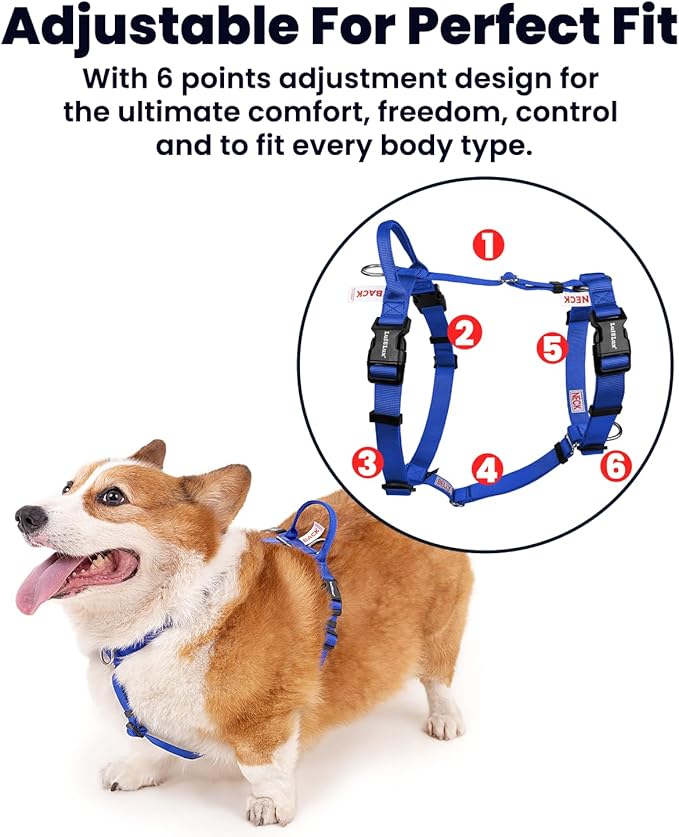 Non Restrictive No Pull Dog Harness, Neck Buckle Desgin, Lightweight Easy Walk Freedom Harness, Keep Balance, Sewn-in Instructions Labels for Easy Use, Small Dogs Chest(17-23inches) Blue