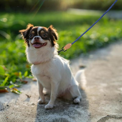 Mile High Life Small Dog Leash, Thin Rope Leash with Genuine Leather Connection and Heavy Duty Metal Clasp, Great for Small Medium Dogs(Blue,60 Inch-1/3)