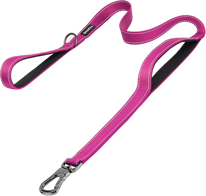PetiFine 5FT Heavy Duty Dog Leash with Soft Padded Double Handle, Durable Strong Clasp Dog Leashes, Reflective Nylon Walking Lead for Large,Medium,Small Breed Dogs, Rose