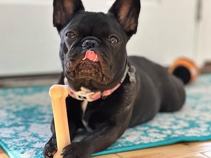 Nylabone Original Bone Power Chew Toy for Dogs, Durable & Tough Dog Toys for Aggressive Chewers, Original Flavor, Small - Up to 25 Ibs, 1 Count