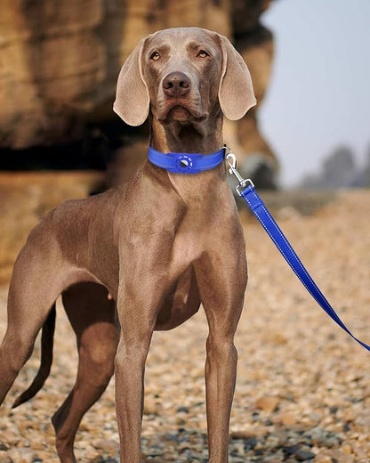 6FT Reflective Nylon Dog Leash with Soft Padded Handle for Walking, Running and Training, Supports Small Medium and Large Dogs (Royal Blue, 3/4Inch Wide)