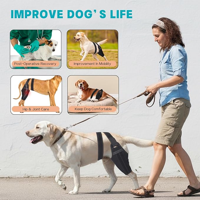 Dog Knee Brace for Torn ACL Hind Leg–Adjustable Support Dog Leg Brace for Back Leg with 2 Stabilizers, Hip Support to Reduces Pain Luxating Patella , Ligament Injuries, CCL (Black, Left Leg, L)