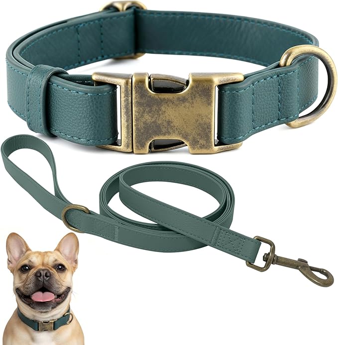 Silicone Dog Collar and Leash Set, Waterproof & Odor-Proof Puppy Collar for Small Dogs, Soft Flexible Leather-Look Dog Collars, Durable Thick Adjustable Pet Collar (Green, Small (9-14" Neck))