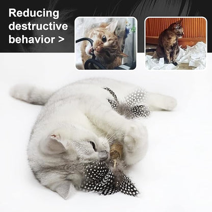 PAZ'S GIFT Catnip Toy Cat Toys Catnip Toy cat chew Toy cat Kicking silvervine Stick Teeth Cleaning Cute Kitten Teething Indoor Interactivecat Dental Care Matatabi (Feather 2pcs)