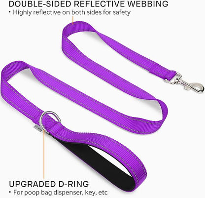 Joytale Double-Sided Reflective Dog Leash, 6 FT/5 FT/4 FT, Padded Handle Nylon Heavy Duty Leashes for Medium & Large Dogs Walking, Purple, 5FT