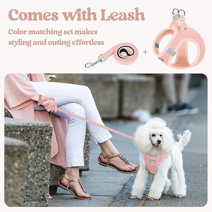 rabbitgoo Dog Harness Small Sized and Leash Set, Step in Soft Light Puppy Vest, Breathable Mesh Pet Harness, Reflective for Outdoor Safe Walking, Pink XL