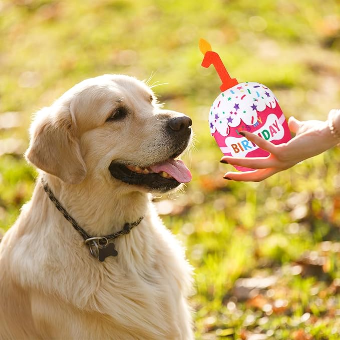 Dog Birthday Cake Toy Accessories for Girl Boy Gifts, Squeaky Plush Toy for Dog Birthday Party Decor Favor for Large, Medium and Small Dogs(1st,Pink)