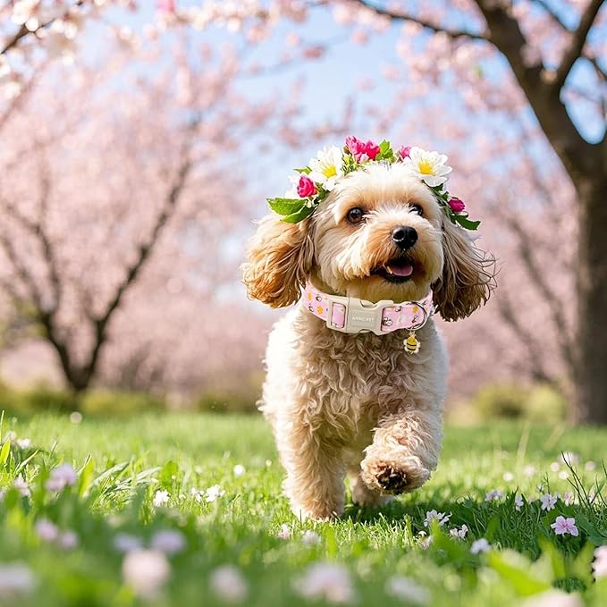 ARING PET Summer Dog Collar, Cute Pink Bee Daisy Floral Pet Collars with Quick Release Buckle for Puppy Small Medium Large Boy Girl Dogs-M