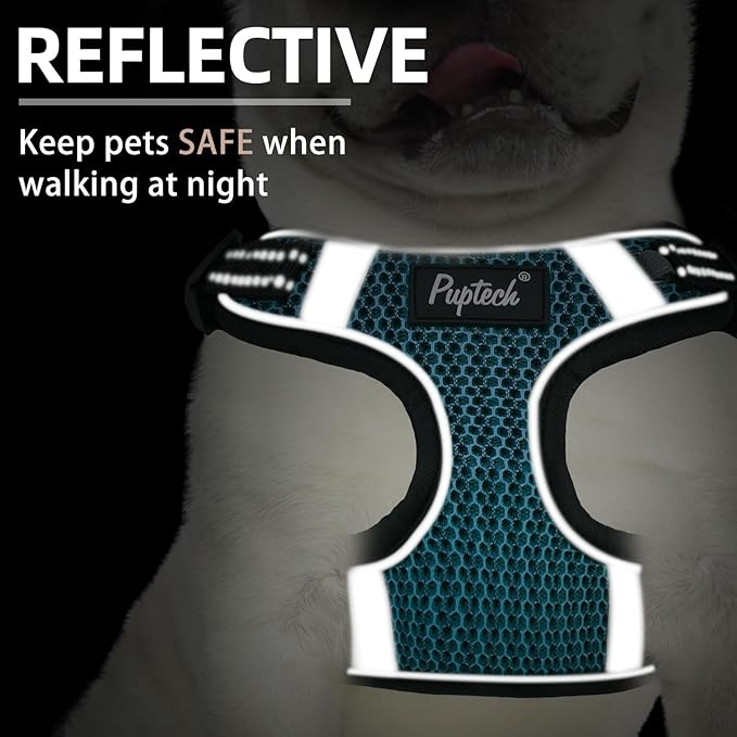 PUPTECK Dog Harness and Leash Set Small Sized, Step in No Pull Adjustable Puppy Cat Harness Reflective Pet Vest