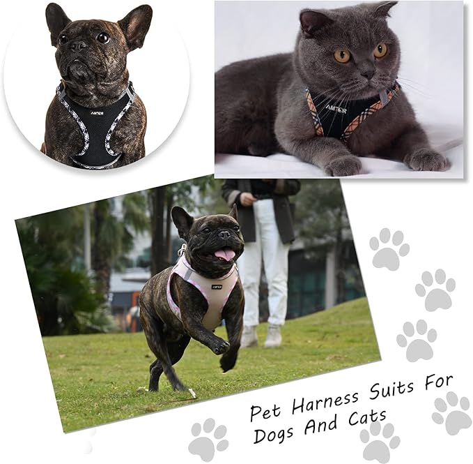 AMTOR Small Dog Harness with Leash Set, No Escape Easy Walk Puppy Harnesses for Training Walking, Step-in Reflective Soft Dogs Vest for XS S Medium Extra-Small Large Sized Dog(Pink,S)