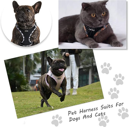 AMTOR Small Dog Harness with Leash Set, No Escape Easy Walk Puppy Harnesses for Training Walking, Step-in Reflective Soft Dogs Vest for XS S Medium Extra-Small Large Sized Dog(Pink,S)