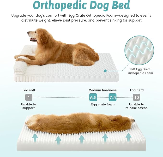 COZY KISS Cute Dog Bed for Large Dogs, Faux Rabbit Fur Orthopedic Foam Dog Bed with Sides, Removable Washable Cover & Waterproof Lining, Comfortable Pet Couch, Cream (44" L x 32" W x 7" Th)