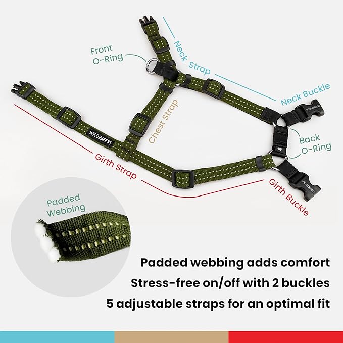 Wildebeest Valencia No Pull Dog Harness | Front and Back Leash Clips | Soft Padded Straps | Lightweight, Adjustable, Easy On/Off for Training and Dog Walking | X-Small Olive