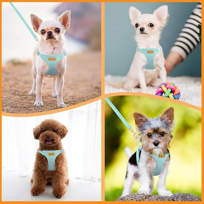 SlowTon Dog Harness Small Sized Dog - Soft XXS Dog Harness and Leash Set No Pull No Chock, Adjustable Lightweight Puppy Harness for XS Small Medium Dogs Cats (Solid Light Blue, XS)