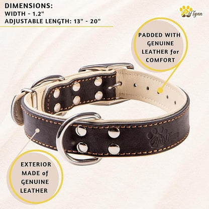 ADITYNA Heavy-Duty Leather Dog Collar for Medium Dogs - Soft Padded for Comfort - Black Dog Collar for Walking, Training, and Hiking