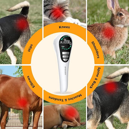 GOYOJO Red Light Therapy for Dogs – LED Light Device with Stand, 650nm*14, 808nm*4 & 980nm*2 Red Light for Joint Support, Mobility & Skin Wellness in Pets
