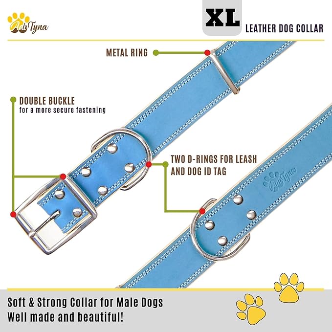 ADITYNA Heavy-Duty Blue Leather Dog Collar for Extra-Large Dogs - Soft Padded for Comfort - XL Dog Collar for Walking, Training, and Hiking