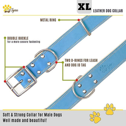 ADITYNA Heavy-Duty Blue Leather Dog Collar for Extra-Large Dogs - Soft Padded for Comfort - XL Dog Collar for Walking, Training, and Hiking