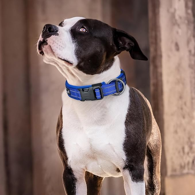 EXCELLENT ELITE SPANKER Reflective Dog Collar Classic Soft Padded Breathable Nylon Adjustable Pet Collar with Quick Release Buckle for Boy Girl Male Female Small Medium Large Dogs Training(Purple-S)