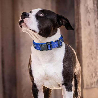 EXCELLENT ELITE SPANKER Reflective Dog Collar Classic Soft Padded Breathable Nylon Adjustable Pet Collar with Quick Release Buckle for Boy Girl Male Female Small Medium Large Dogs Training(Purple-S)
