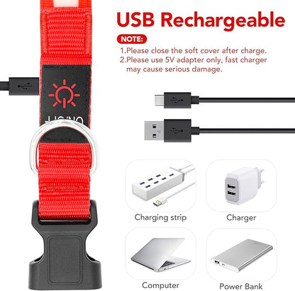 Vizpet LED Dog Collar, Light Up Dog Collar Adjustable USB Rechargeable Super Bright Safety Light Glowing Collars for Dogs(Medium,Red)
