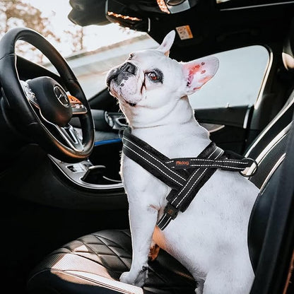 Didog Soft Flannel Padded Dog Vest Harness, No Pull/Quick Fit Reflective Dog Strap Harness, Easy for Training Walking (XXS:Chest 12-15", Black)