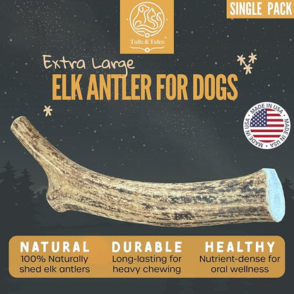 Tails & Tales Whole Elk Antler for Dogs X-Large 8-10" Long-Lasting & Durable Dog Bones for Aggressive Chewers or Teething Puppies No Additives, Premium Grade A, Naturally Shed in USA