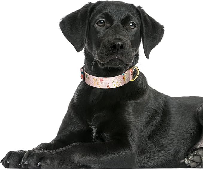 Rnivvi Dog Collar for Large Dogs, Cute Floral Heavy Duty Adjustable Puppy Collar with Quick Release Buckle for Boy Girl & Female, Pet Accessories for Walking Running, L Length 1" Width, Pink