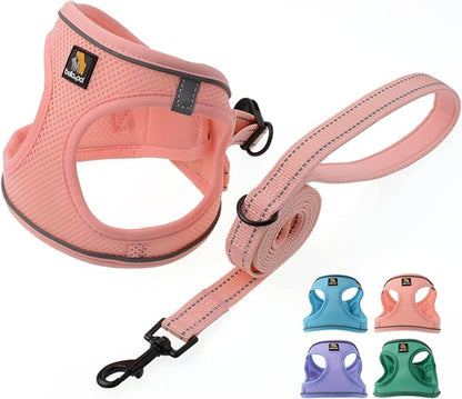 BELLA & PAL Step in Vest Harness for Small and Medium Dogs, No Pull Small Dog Harness with Leash Set, Comfortable Air Mesh Dog Vest Harness with Reflective Strip (Coral Pink, XS)