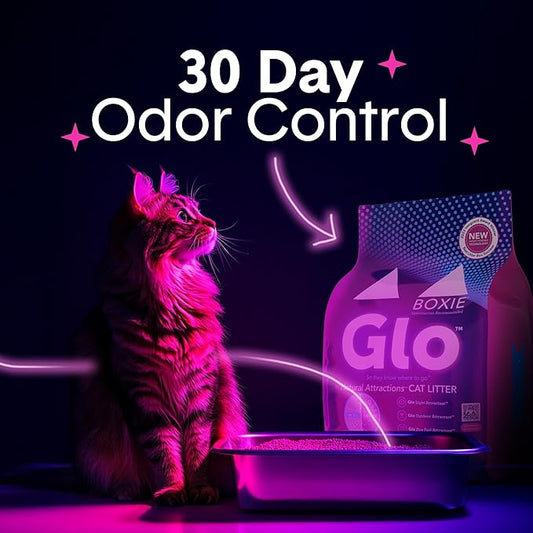 Boxie Glo Clumping Clay 30 Day Odor Control Cat Litter, 99.9% Dust-Free, Low Tracking, UV Light Attractant, 16 lb