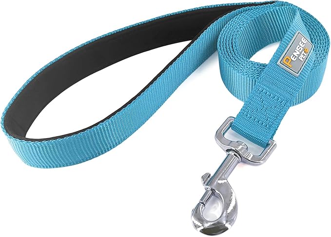 Basic Dog Leashes 6 FT Padded Handle Nylon Dogs Leashes for Medium Dogs Light Blue