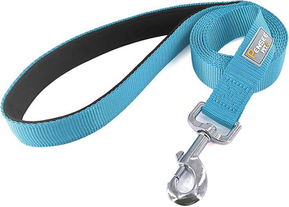 Basic Dog Leashes 6 FT Padded Handle Nylon Dogs Leashes for Medium Dogs Light Blue