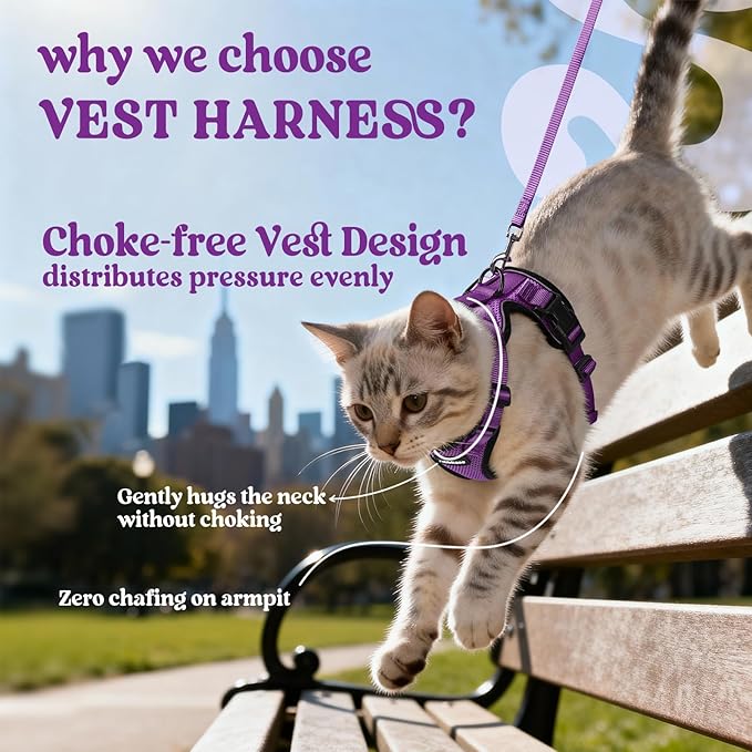 rabbitgoo Cat Harness and Leash for Walking, Escape Proof Soft Adjustable Vest Harnesses for Cats, Easy Control Breathable Reflective Strips Jacket, Purple, M