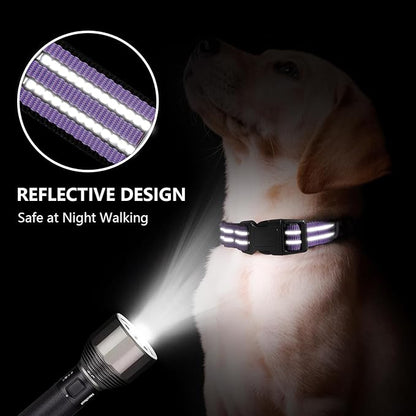 Hikiko Martingale Dog Collars Reflective Nylon Dog Collar with Quick Release Buckle Adjustable Training No Slip Dog Collar (Medium, Lavender)