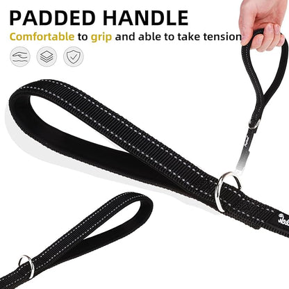 PUPTECK Reflective Dog Leash with Comfortable Padded Handle Durable Nylon Dog Lead for Small Medium and Large Dogs Cats Walking Running Training Outside, Black