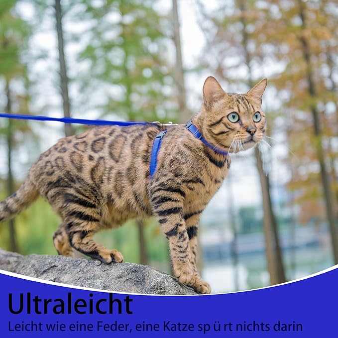 PUPTECK Adjustable Cat Harness and Leash Set Escape Proof Kitten Strap Collar for Walking Travel, Blue, M