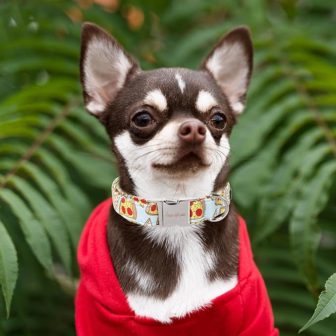 Unique style paws Dog Collar Metal Buckle Collar Gift for Small Medium Large Boys Girls Dogs, pizza