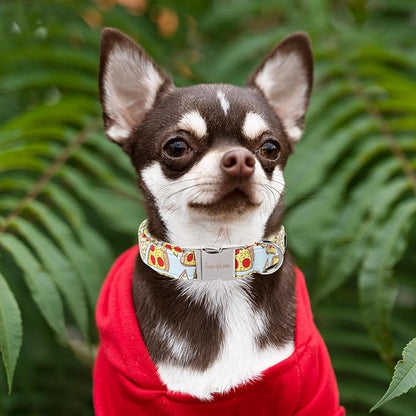 Unique style paws Dog Collar Metal Buckle Collar Gift for Small Medium Large Boys Girls Dogs, pizza
