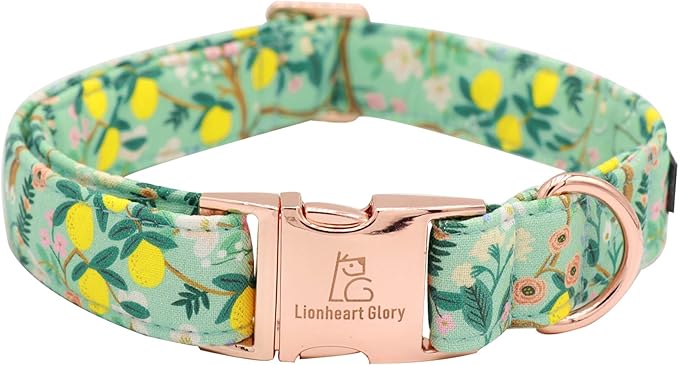 Lionheart glory Premium Floral Dog Collar Cute Dog Collars Spring Adjustable Soft Dog Collar Girl Pet Collars for X-Small Small Medium Large Dogs
