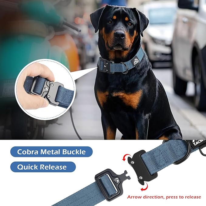 Heavy Duty Dog Collars for Medium and Large Dogs - Adjustable, Chew Proof Nylon Collar with Metal Quick Release Buckle and D-Ring for Dog Tags (Haze Blue, XL)