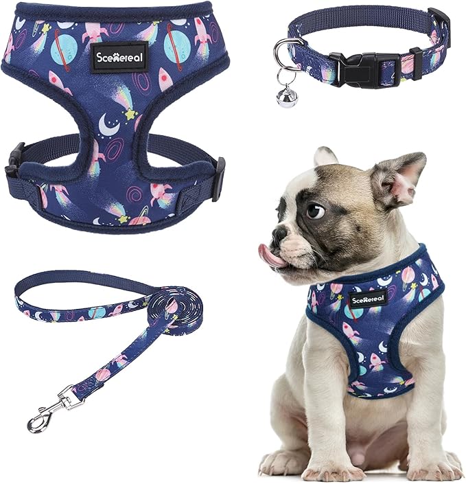 SCENEREAL Small Dog Harness Collar and Leash Set, Adjustable No Pull Pet Harnesses, No Chock Soft Mesh Step in Vest for Doggie Puppy Medium Dogs Cats Girl or Boy,Chihuahua, Yorkie, Outdoor Walking