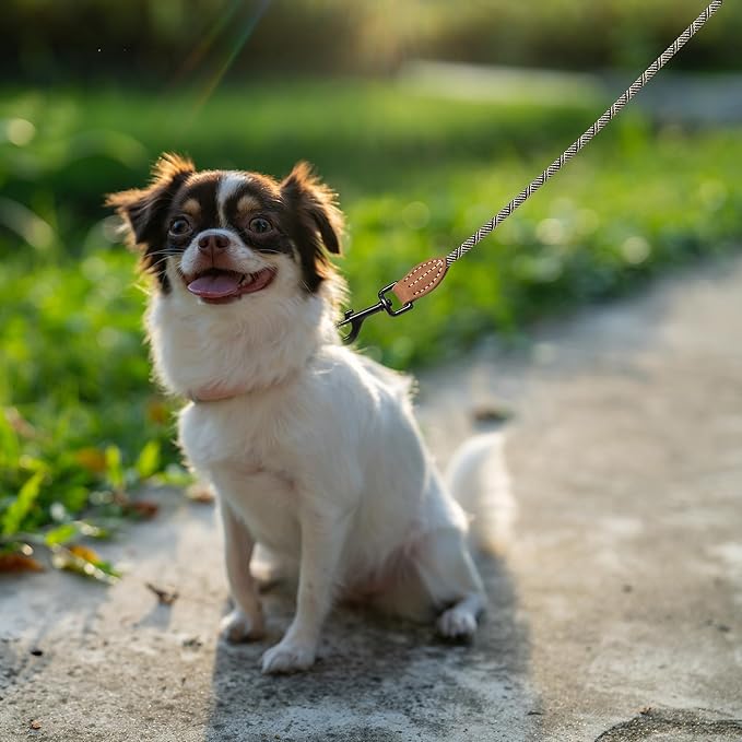 Mile High Life Small Dog Leash, Thin Rope Leash with Genuine Leather Connection and Heavy Duty Metal Clasp, Great for Small Medium Dogs(White,48 Inch-1/3)