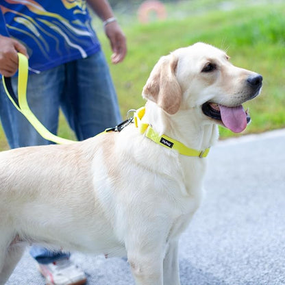 Hyhug Short Dog Leash Heavy Duty Nylon with Comfortable Padded Handle, Durable Training Pet Leashes for Small Medium Large Dogs(24 Inches, Luminous Yellow)