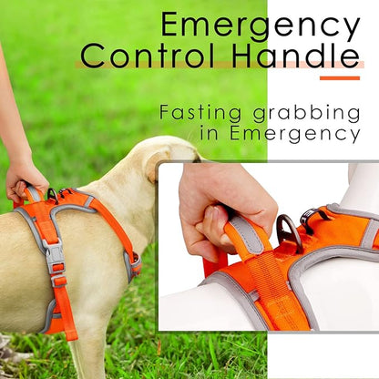 ThinkPet No Pull Harness Set Breathable Sport Harness with Handle - Reflective Padded Dog Safety Vest with Reflective Neon Dog Leash L Harness Leash Pack Orange