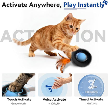KiwiLove Interactive Cat Toy with Motion Activated Ball & 7-Hole Play Mat, Hide and Seek Exercise Game for Indoor Cats, Automatic Moving Cat Ball in Pouch, Rechargeable Kitten Toys