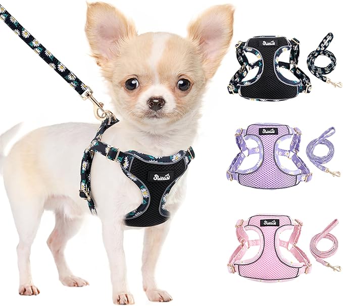 SlowTon Small Dog Harness - No Pull Dog Harness and Leash Set, Soft Mesh Lightweight Puppy Vest Harnesses, Adjustable Pet Harnesses for XXS XS Small Medium Easy Walk Hiking (Black, XXS)